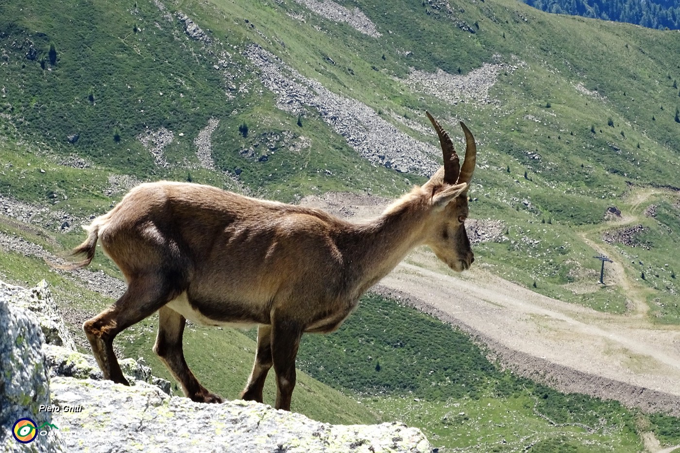 37 Scendono su rocce con vista sulla Val Carisole.JPG